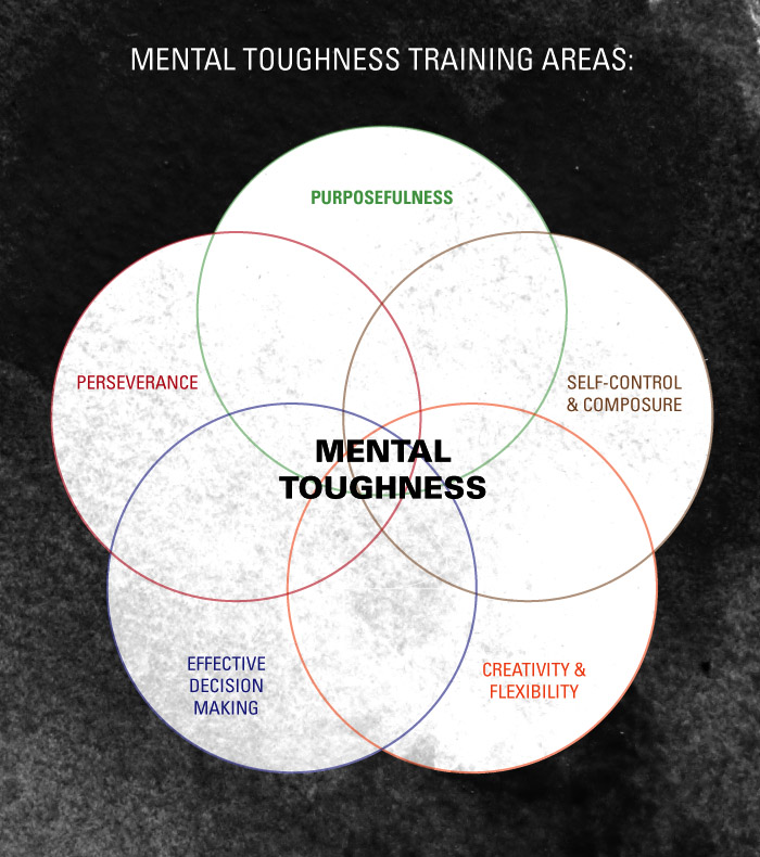 Mental Toughness Training Model